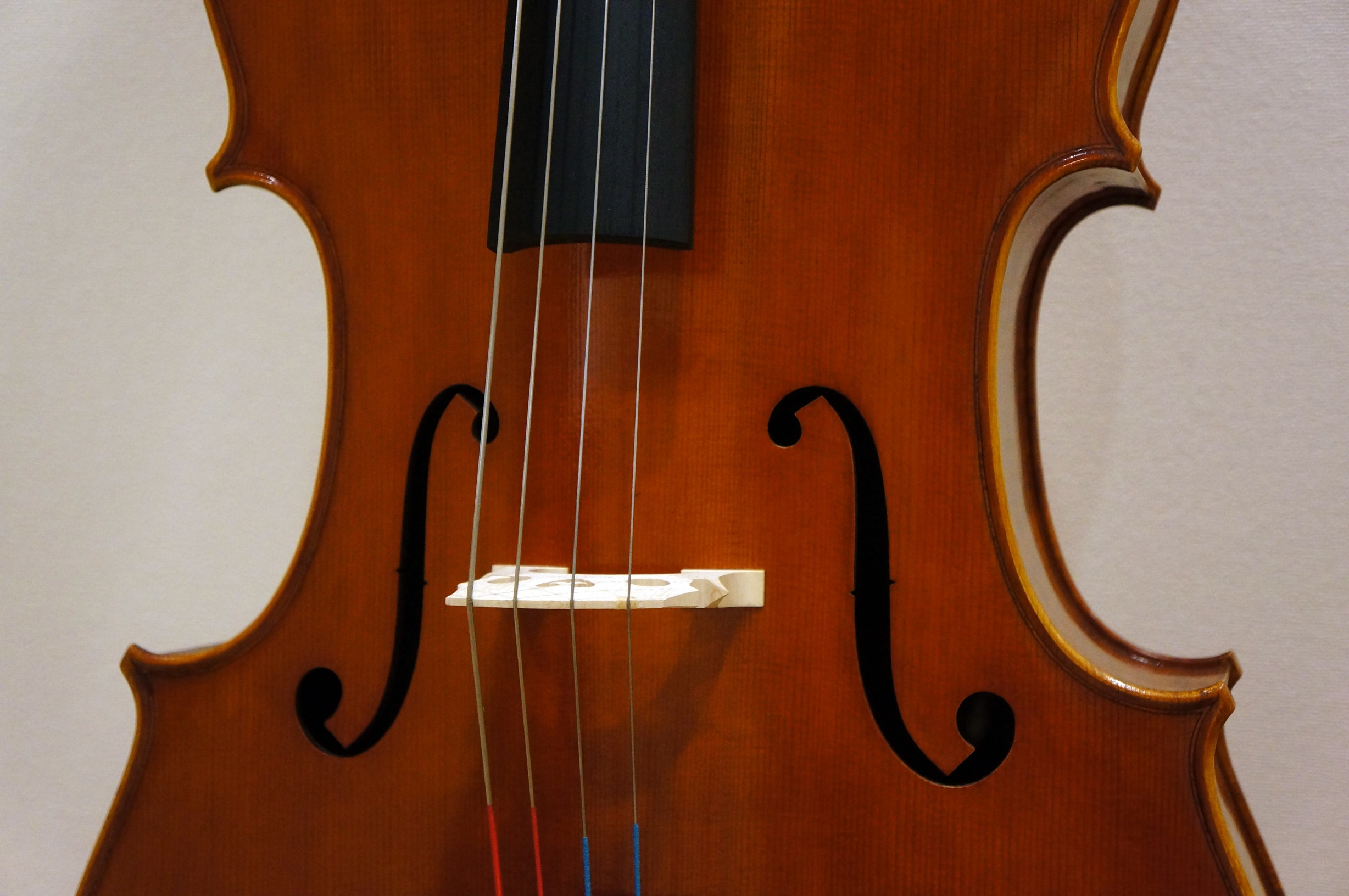 Cello Pygmalius VC200 PROGRESSO China - 名古屋の弦楽器専門店 KAEDE STRINGS | バイオリン ・ビオラ・チェロ・弓の販売