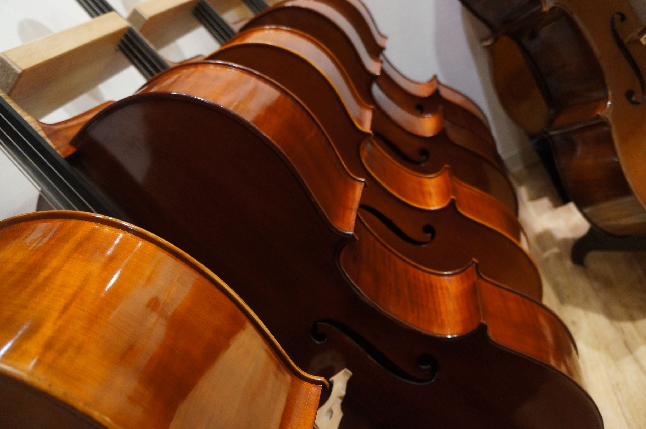 Ladies Size (7/8 Size) Cello - 名古屋の弦楽器専門店 KAEDE