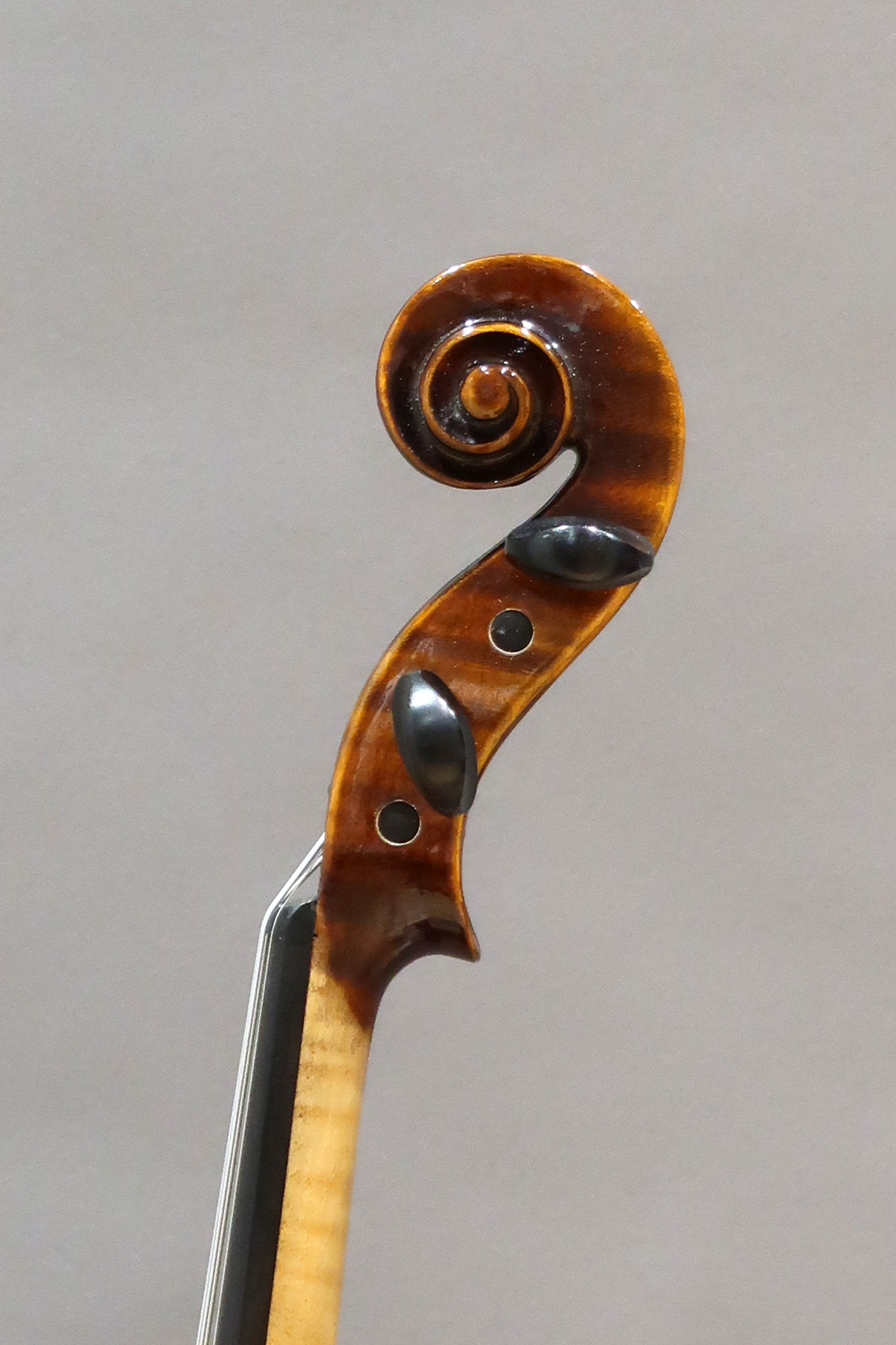 Violin Harald Lorenz #04 Czech - 名古屋の弦楽器専門店 KAEDE ...