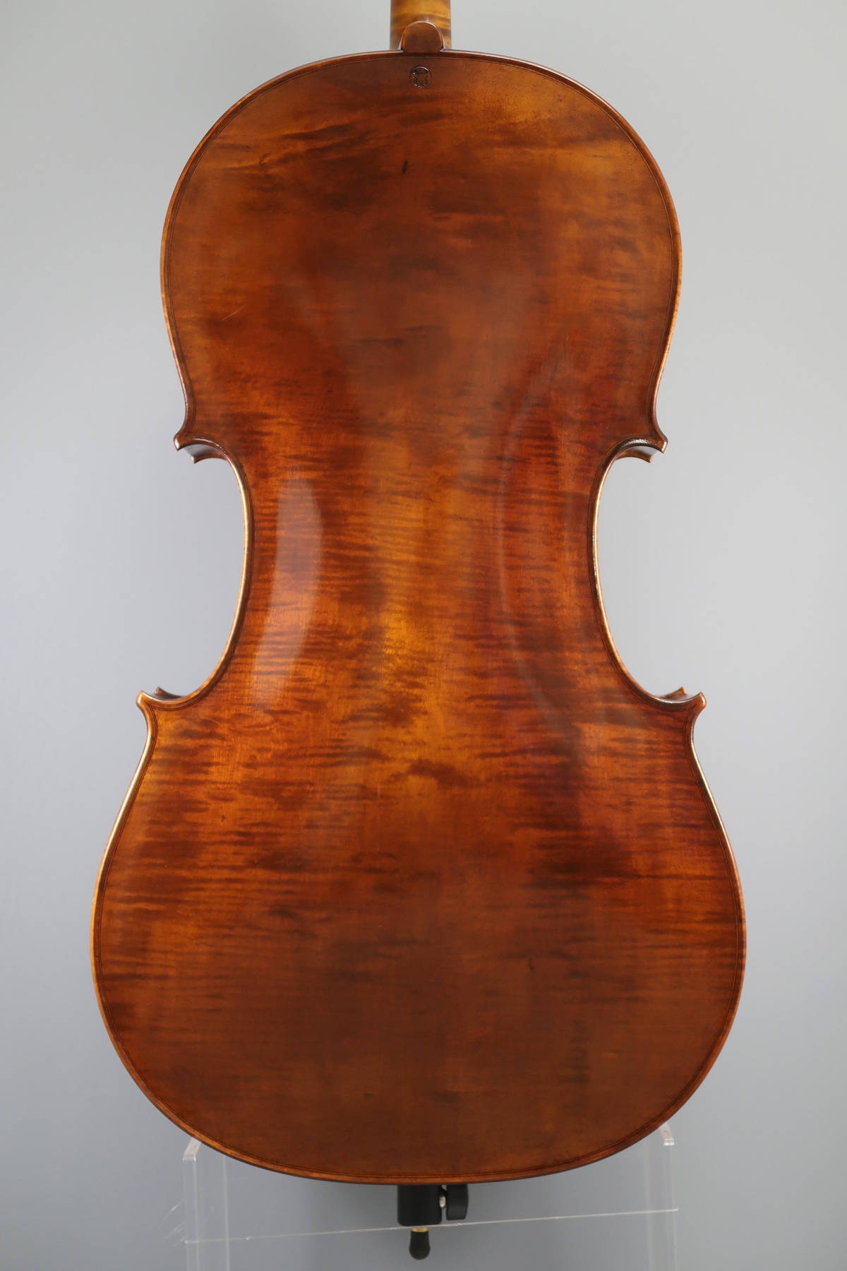 Cello Rainer W. Leonhardt No.60 “Dark Summer” Germany - 名古屋の